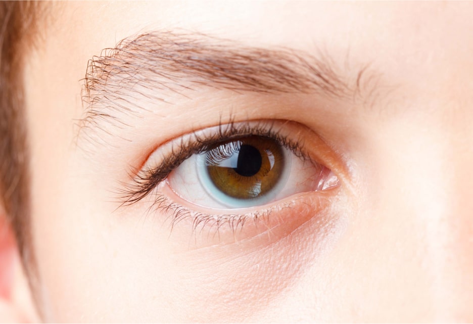 Medición del diametro horizontal del iris